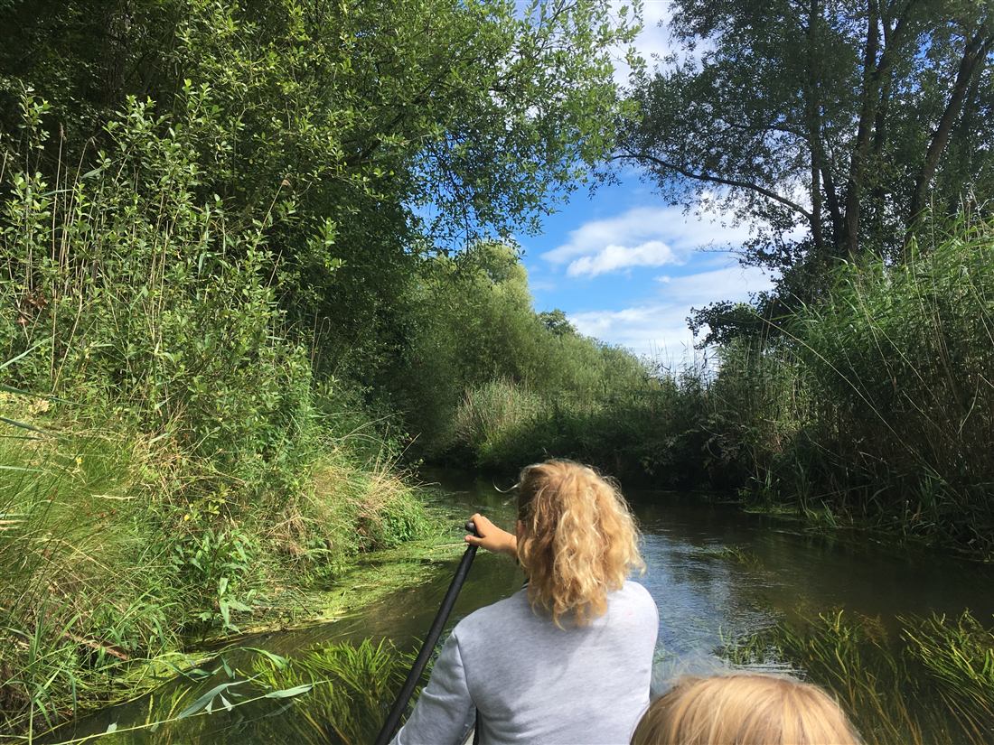 Kano op een smal riviertje tussen riet en bomen